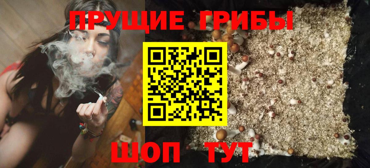 Кувандык  Галлюциногенные грибы мицелий  Вход с VPN 